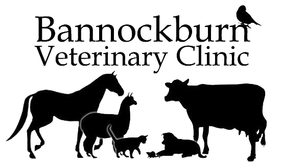 Bannockburn Vet Clinic
