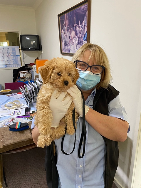 Bannockburn Veterinary Clinic - Sandy with a cute Puppy