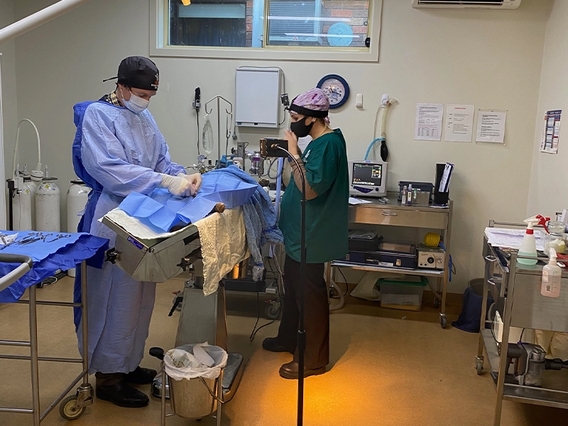 Bannockburn Veterinary Clinic - Surgery Room