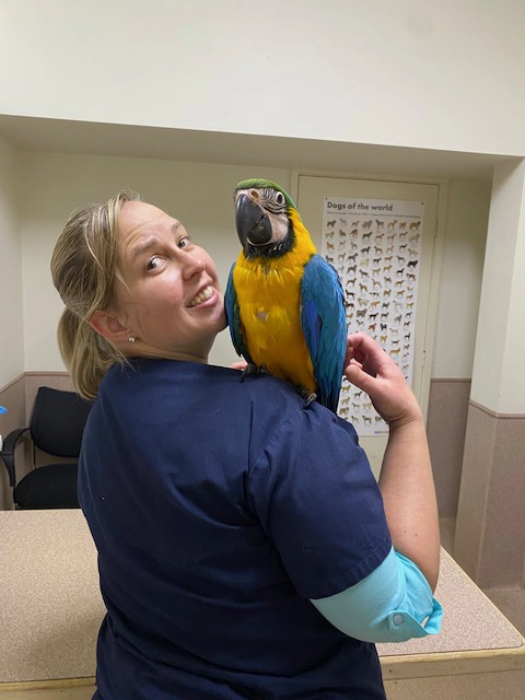 Macaw vet near sales me