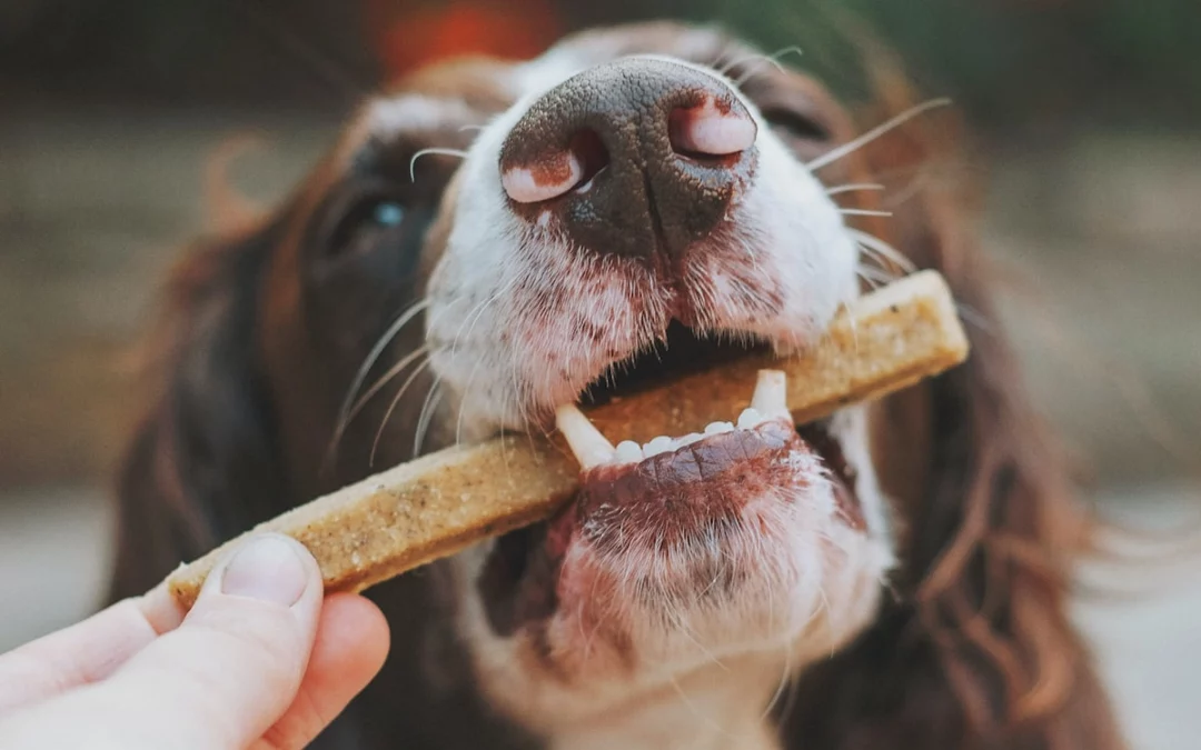 Nutrition & Prescription Diets