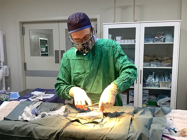 Bannockburn Vet - Surgical Facilities - Dr Peter Bond Surgery