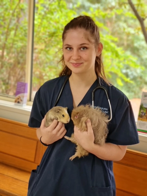 Bannockburn Vet Clinic - Exotic and Pocket Pets - Dr Niki and Blue Tongue Lizards