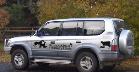 Bannockburn Vet - Home Vet Visits