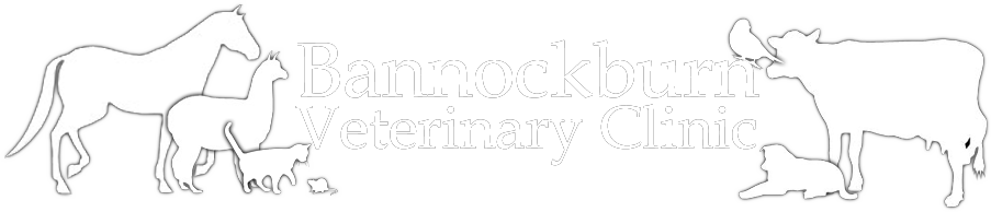 Bannockburn Vet Clinic